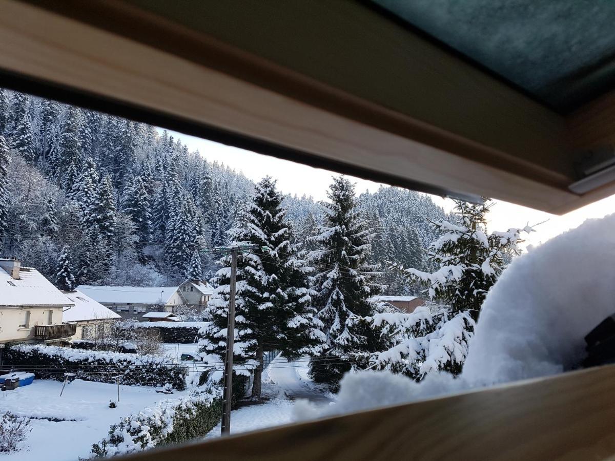 Ferienwohnung Le petit Kichon Gérardmer Exterior foto