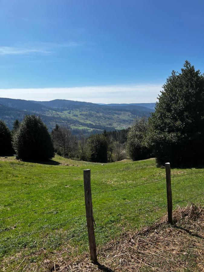 Ferienwohnung Le petit Kichon Gérardmer Exterior foto